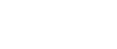 Guiding Eyes for the Blind